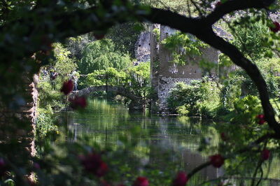 Blick über das Gewässer in den Gärten von Ninfa