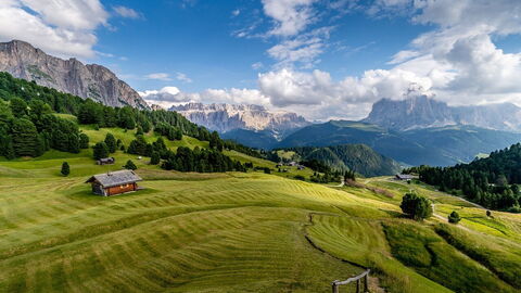 Eine Bergwiese, Italien