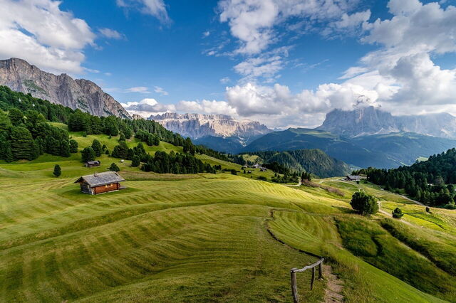 Eine Bergwiese, Italien