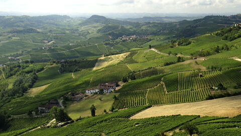 Landschaft in Langhe