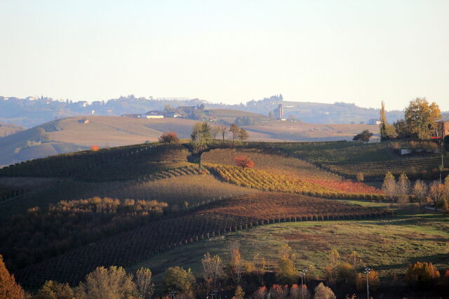 Die Hügellandschaft von Langhe