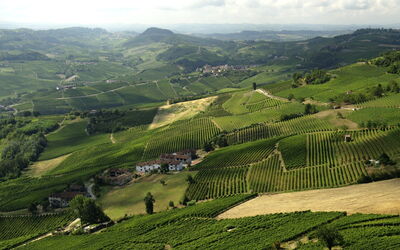 Landschaft in Langhe