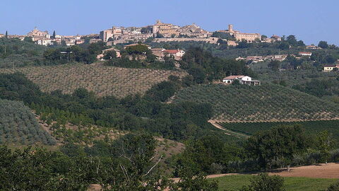 Ansicht von Montefalco