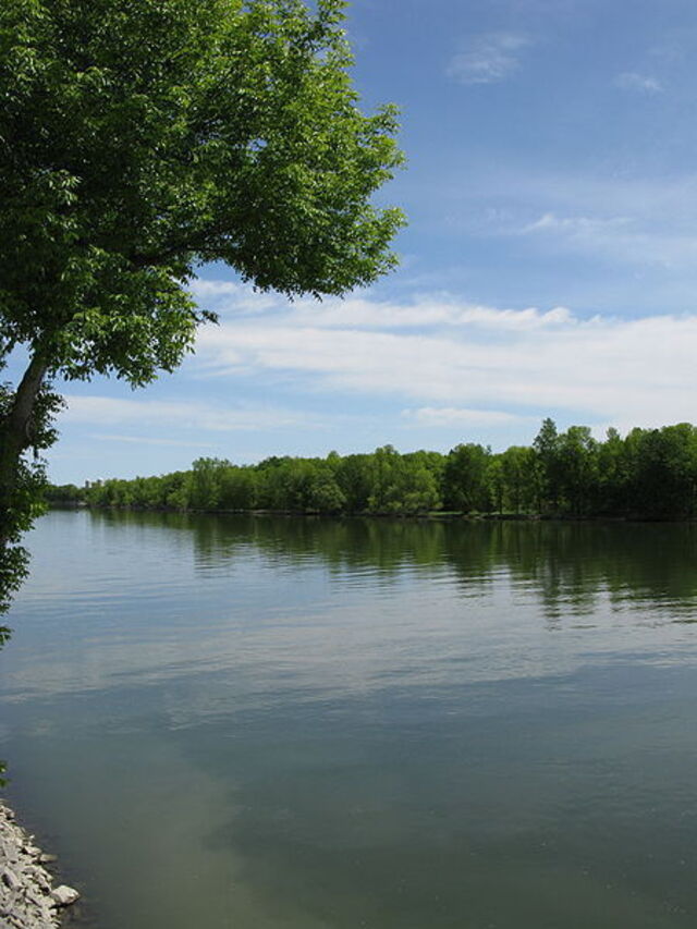 Ein ruhiger Fluss