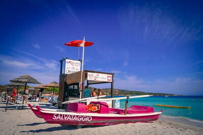 Cala Brandinchi, Strand
