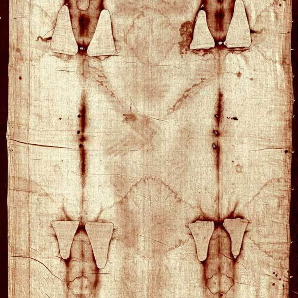 Donna Quinn