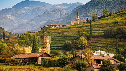 Bolzano Weinberg im Herbst