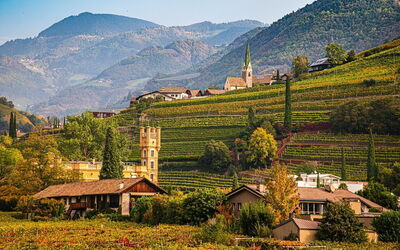 Bolzano Weinberg im Herbst