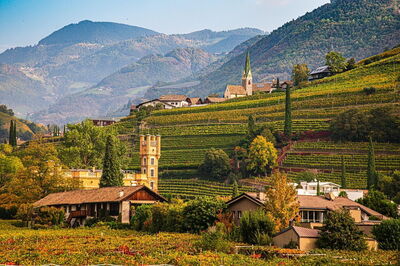 Bolzano Weinberg im Herbst