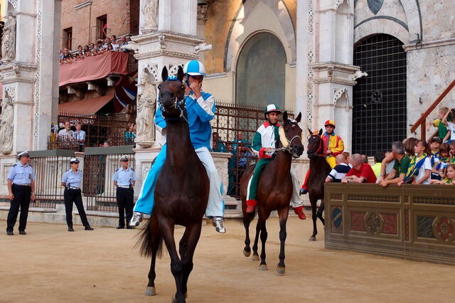 Pferde beim Palio di Siena