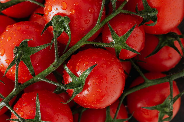 Tomaten