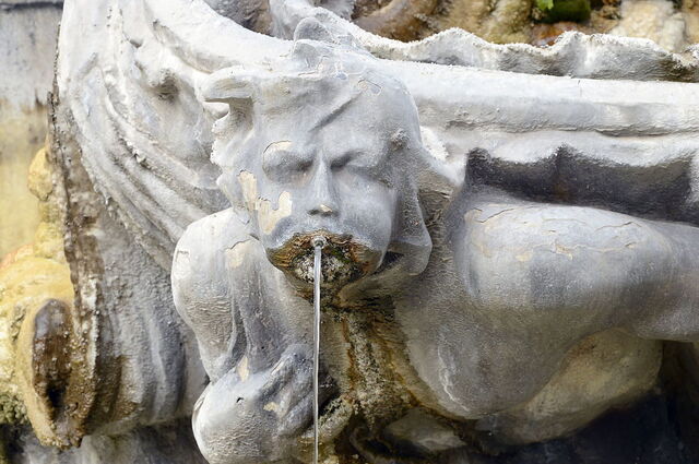 Froschbrunnen, Detail