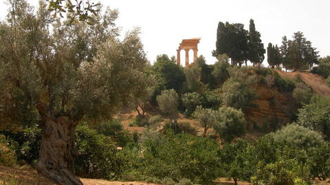 Kolymbetra