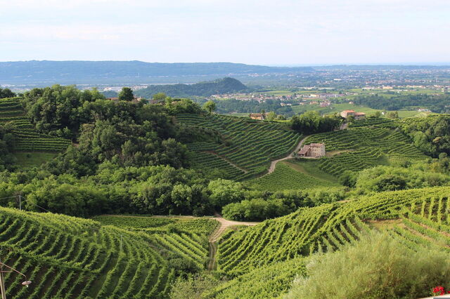 Landschaft um Treviso