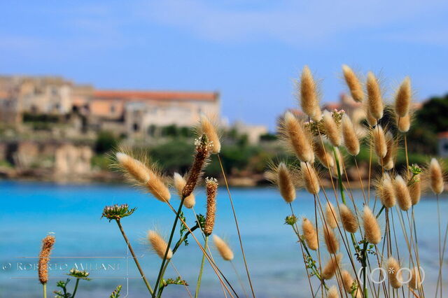 Ein Blick auf Pianosa