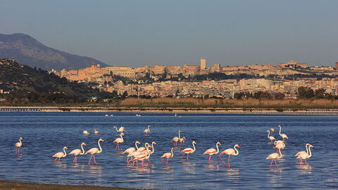die Küste bei Cagliari