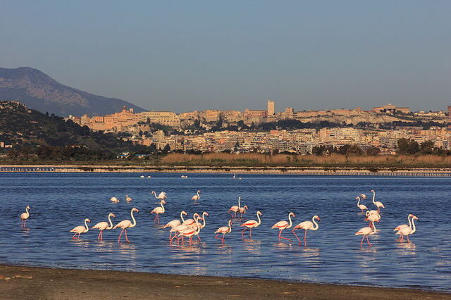 die Küste bei Cagliari