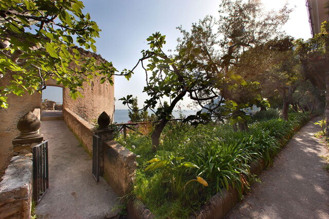 Mansour, Garten