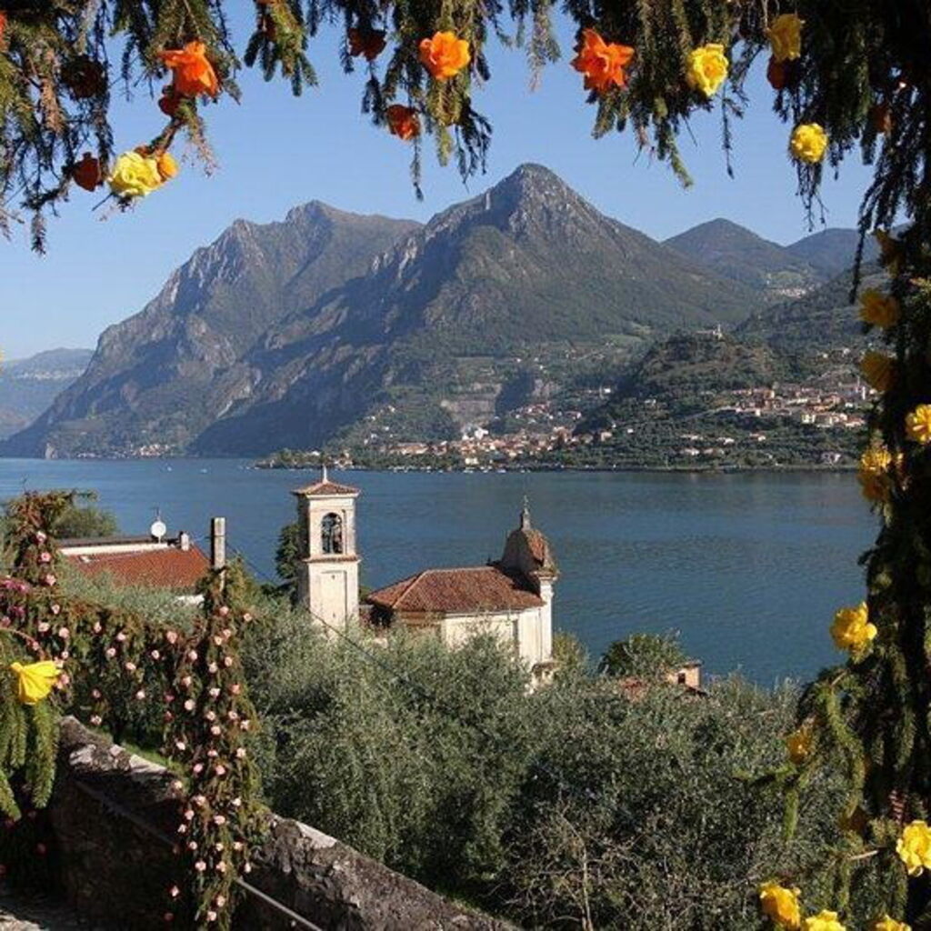 Colette Fitzpatrick
