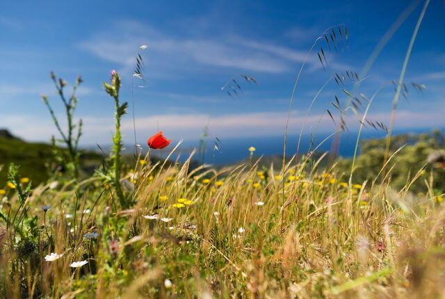Aussichten von Sardinien