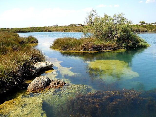 Porto Selvaggio Sumpfgebiet