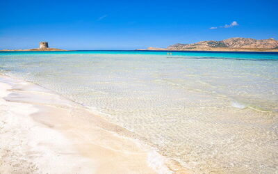 Der Sand am Spiaggia La Pelosa