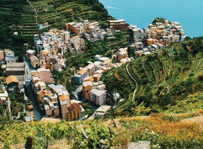 Weinberge im Cinque Terre