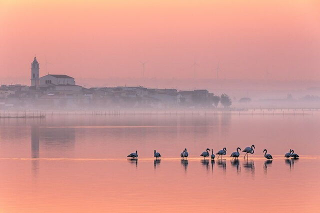 Lesina See