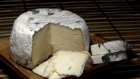 Käse