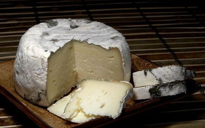 Käse