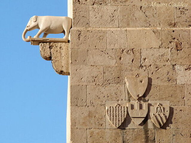 Elefant