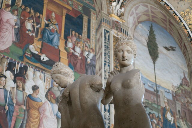 Piccolomini Bibliothek