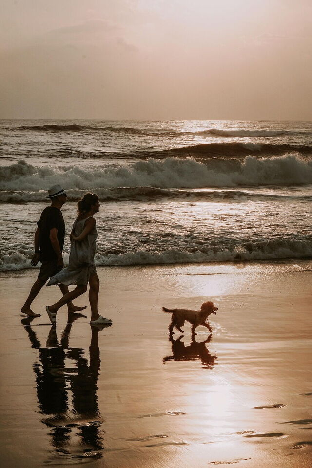 Ein Pärchen mit dem Hund am Strand