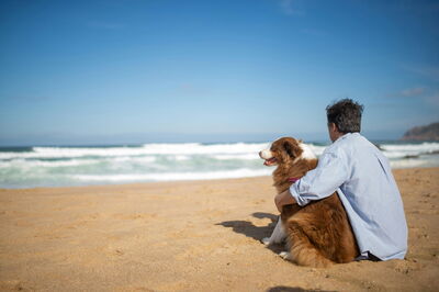 Ein Mann und sein Hund am Strand