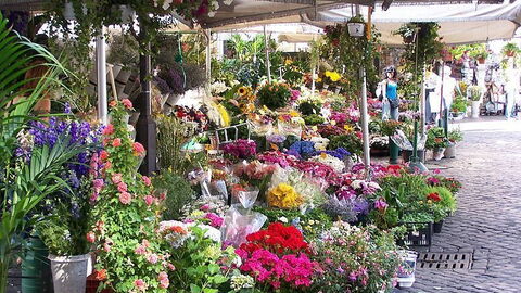 Blumen auf dem Campo De' Fiori