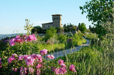 Castello Di Cafaggio