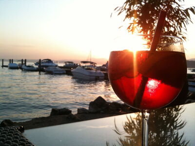 Aussicht auf den Gardasee