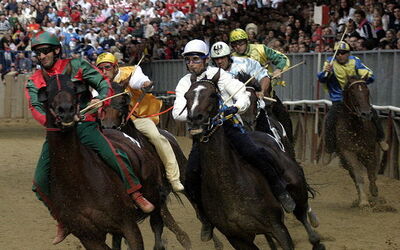 Pferderennen Palio di Asti
