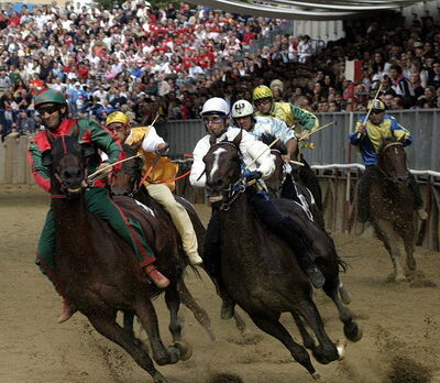 Pferderennen Palio di Asti