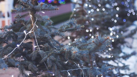 Weihnachtslichter in Rom