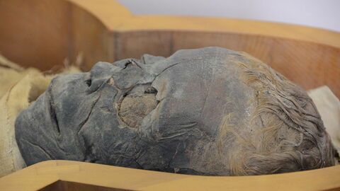 Männliche Mumie, Vatikanmuseum