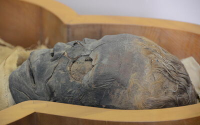 Männliche Mumie, Vatikanmuseum