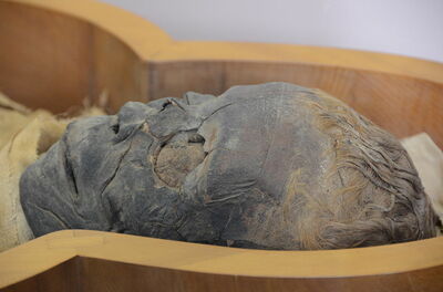 Männliche Mumie, Vatikanmuseum