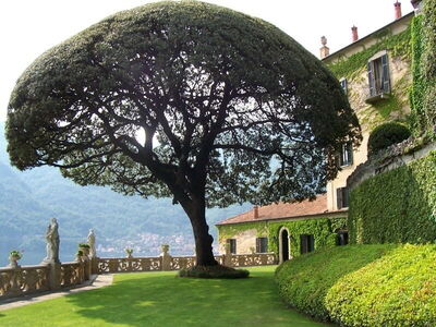 Wo die ikonische Star Wars Szene gefilmt wurde