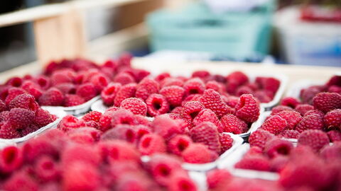 Himbeeren