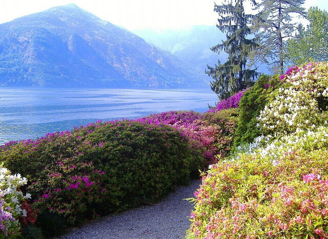 Villa Carlotta, Aussicht