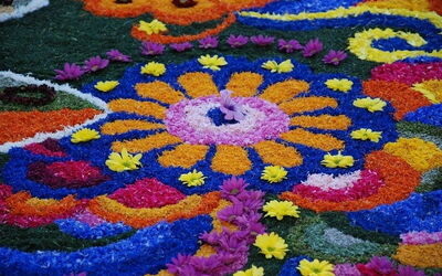 Blumenkreationen in Spello