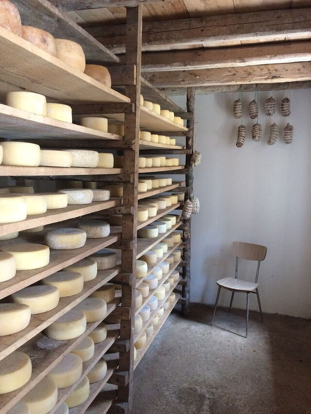 Ein Lagerraum voll mit Pecorino Käse