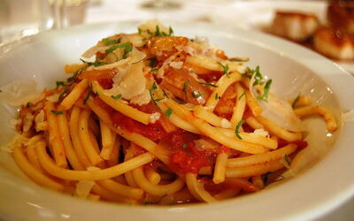 Bucatini all'amatriciana