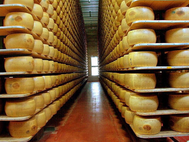 Ein Parmigiano Reggiano Lagerraum